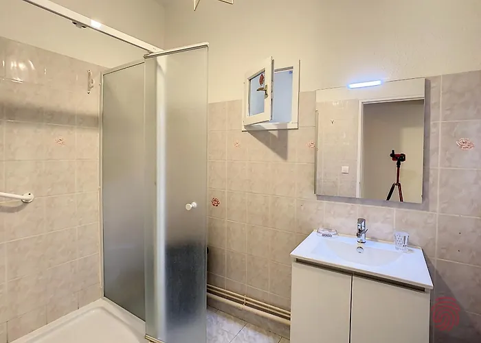 Lägenhet F3 Avec Wi-fi, Animaux Acceptes, Proche Thermes - - Fr-1-451-148 *